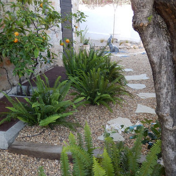 Projet grasse