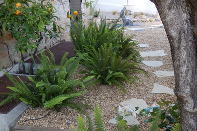 Exemple d'un jardin moderne.