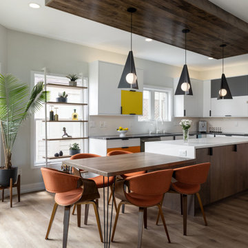 Vibrant Mid-Century Modern
