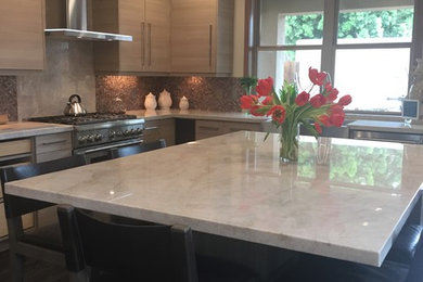 Inspiration for a contemporary kitchen remodel in San Diego