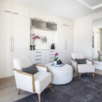 Elegant Space-Saving External Wardrobe with Media Alcove