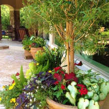 Outdoor Space