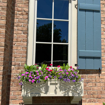 Window Boxes