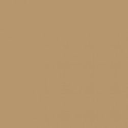 Benjamin Moore Baked Cumin 1062 - Paint
