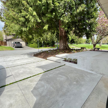 Wider view - slab driveway, steps, tree and street
