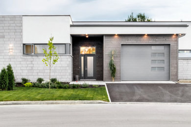 Mid-sized trendy home design photo in Other