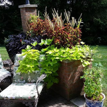 Our Work