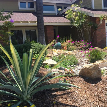 Rain Water Swale and Lawn Removal