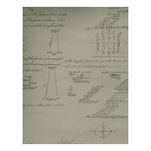 pam_manos's ideas