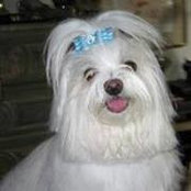 Kathy Moscetti's photo