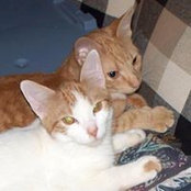 Foto von Cheryl Spaulding
