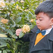 Phương Thùy's photo