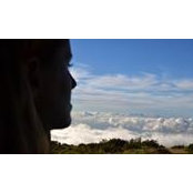 MJ Cyr's photo