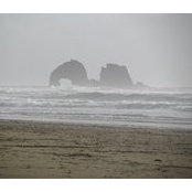 Tasha Williams's photo