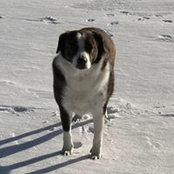 Foto von Sue Edwards