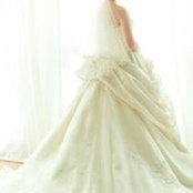 Wang Xiaoli's photo