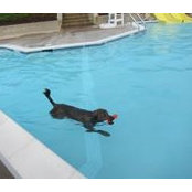Judith Stearns's photo