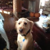 Michael Breeden's photo