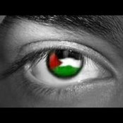 Aida Ziat's photo