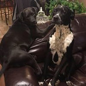 Tammy Anderson's photo