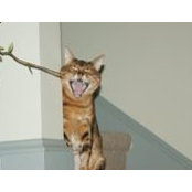 Maria Conway's photo
