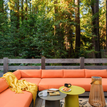 Mill Valley Redwoods House