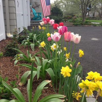 spring flowers
