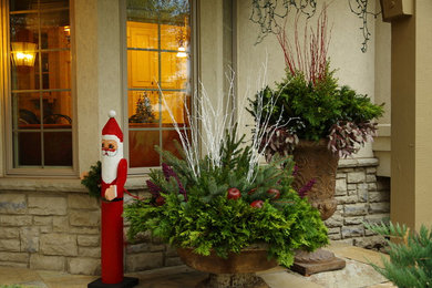 Inspiration for a mid-sized timeless entryway remodel in Chicago with a dark wood front door