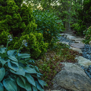 Award Winning- Pocket Garden