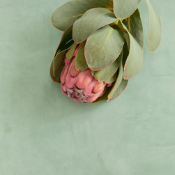 Vivid Wallpaper Collection - Wallpaper