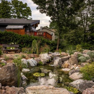 Backyard Eco System