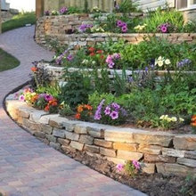 Terraced Backyard