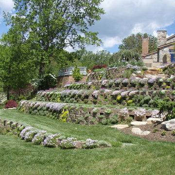 Living Walls - A Terraced Garden in Pikesville