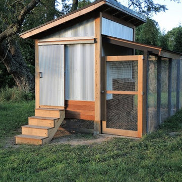 Chateaux d'Chicken