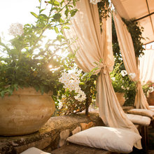 Backyard Ideas
