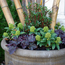 Container Ideas for outside planters