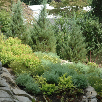 Steep slope after rock placement and planting