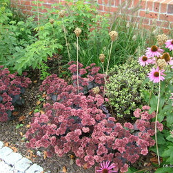 New Forest Garden - Products