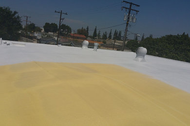 Commercial Foam Roof