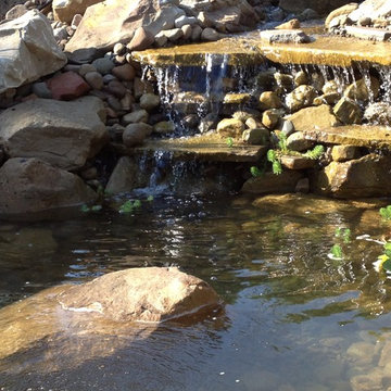 Pond and Waterfall