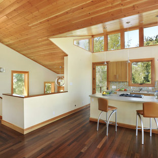 Pine Wood Home Design Houzz