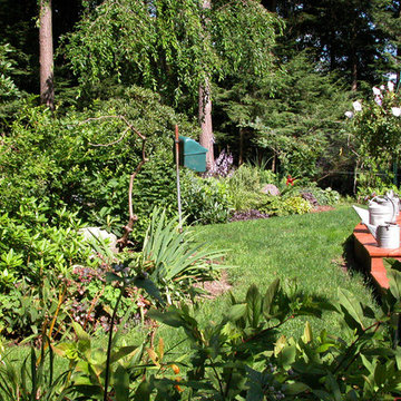 Serenity Garden