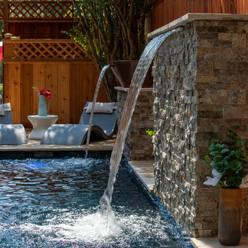 Lap Pool | Houston, TX