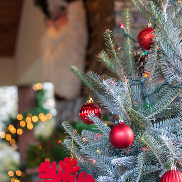 Backyard Holiday Ideas