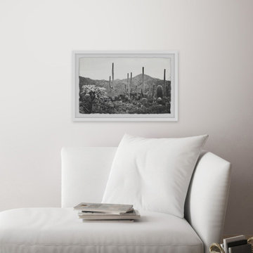 “A Gathering of Cacti” Framed Painting Print