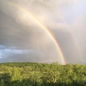 Kristi Hall's photo