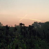 Joey Wilson's photo