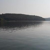 Ginger Wilson's photo