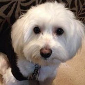 Anita Boyd's photo