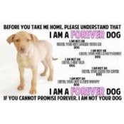 Shannon Hesse's photo